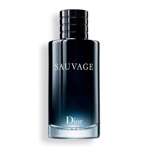 dior savauge eau de toilette|dior sauvage 200ml best price.